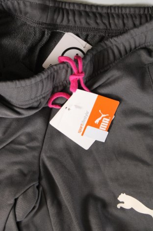 Damen Sporthose PUMA, Größe S, Farbe Grau, Preis € 24,45