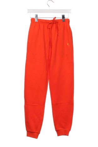 Γυναικείο αθλητικό παντελόνι Pieces, Μέγεθος XS, Χρώμα Κόκκινο, Τιμή 13,04 €