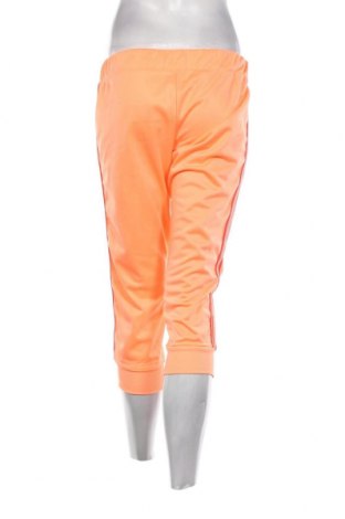 Γυναικείο αθλητικό παντελόνι Terranova, Μέγεθος M, Χρώμα Πορτοκαλί, Τιμή 9,70 €