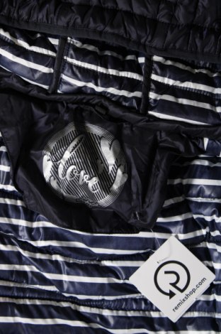 Γυναικείο μπουφάν, Μέγεθος XXL, Χρώμα Μπλέ, Τιμή 21,53 €