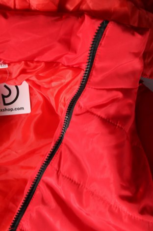 Dámska bunda , Veľkosť XXL, Farba Červená, Cena  32,89 €