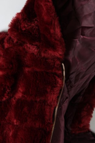 Dámska bunda , Veľkosť M, Farba Červená, Cena  10,85 €