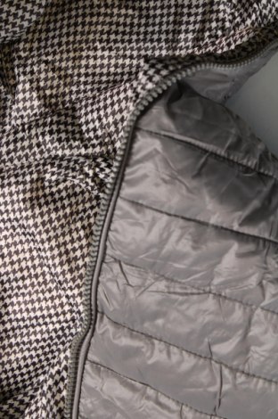 Γυναικείο μπουφάν, Μέγεθος XXL, Χρώμα Πολύχρωμο, Τιμή 20,78 €