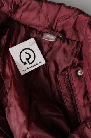 Γυναικείο μπουφάν, Μέγεθος L, Χρώμα Κόκκινο, Τιμή 8,61 €