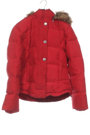 Damenjacke Calvin Klein, Größe XS, Farbe Rot, Preis 30,94 €