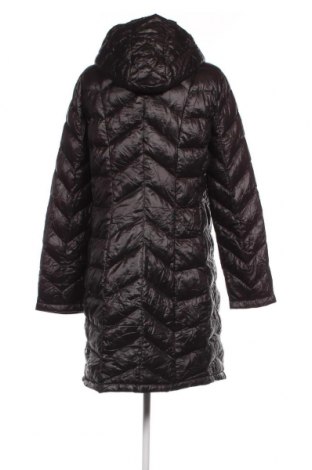 Damenjacke Calvin Klein, Größe L, Farbe Schwarz, Preis 116,91 €