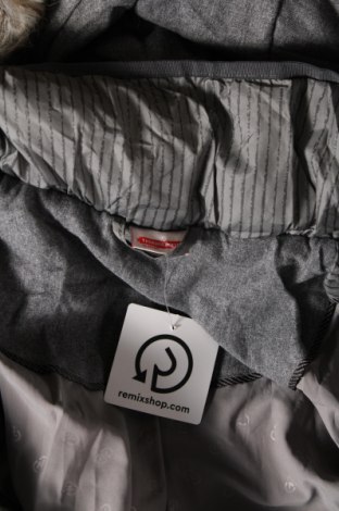 Γυναικείο μπουφάν Damart, Μέγεθος M, Χρώμα Γκρί, Τιμή 14,71 €