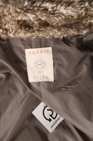 Γυναικείο μπουφάν Esprit, Μέγεθος XL, Χρώμα Γκρί, Τιμή 26,44 €