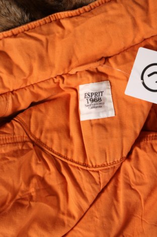 Γυναικείο μπουφάν Esprit, Μέγεθος M, Χρώμα Πορτοκαλί, Τιμή 25,05 €