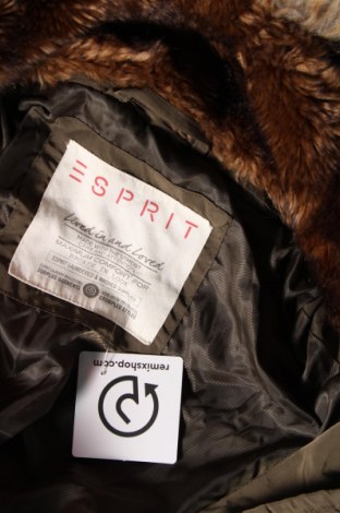 Γυναικείο μπουφάν Esprit, Μέγεθος M, Χρώμα Πράσινο, Τιμή 22,27 €