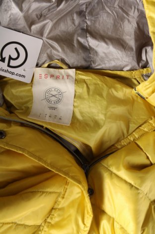 Γυναικείο μπουφάν Esprit, Μέγεθος L, Χρώμα Κίτρινο, Τιμή 46,39 €