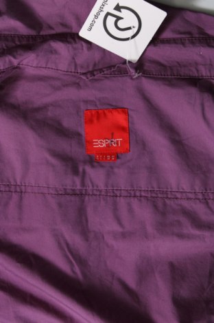 Γυναικείο μπουφάν Esprit, Μέγεθος M, Χρώμα Βιολετί, Τιμή 8,31 €