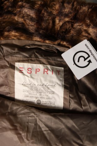 Dámska bunda  Esprit, Veľkosť XL, Farba Zelená, Cena  13,18 €