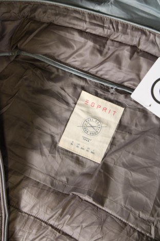 Γυναικείο μπουφάν Esprit, Μέγεθος XL, Χρώμα Γκρί, Τιμή 46,39 €