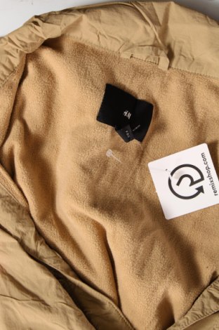 Damenjacke H&M, Größe XL, Farbe Braun, Preis 10,02 €