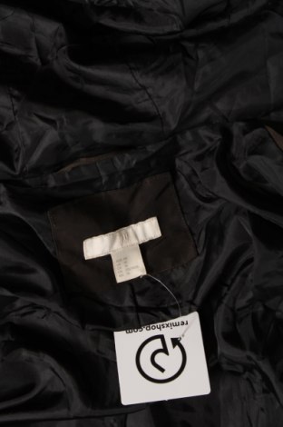 Damenjacke H&M, Größe XL, Farbe Grün, Preis 10,49 €
