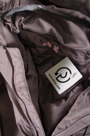 Damenjacke PUMA, Größe M, Farbe Grau, Preis € 65,38