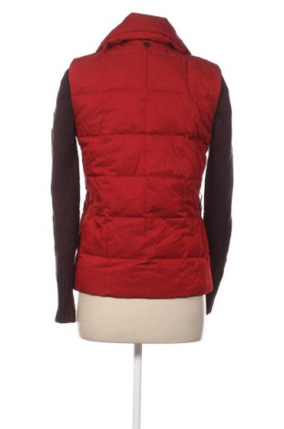 Γυναικείο μπουφάν Penny Black, Μέγεθος XXS, Χρώμα Κόκκινο, Τιμή 27,53 €