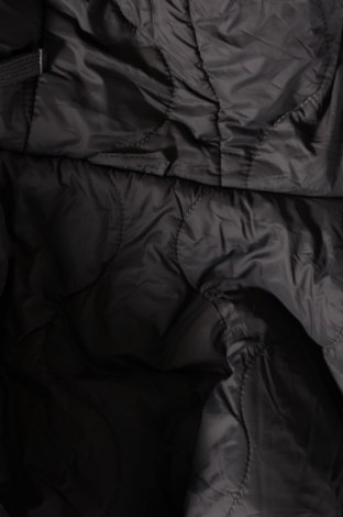 Γυναικείο μπουφάν Primark, Μέγεθος M, Χρώμα Γκρί, Τιμή 21,53 €
