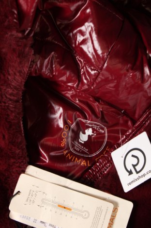 Dámska bunda  Save The Duck, Veľkosť S, Farba Červená, Cena  196,39 €