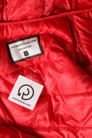 Damenjacke Terranova, Größe L, Farbe Rot, Preis 19,04 €