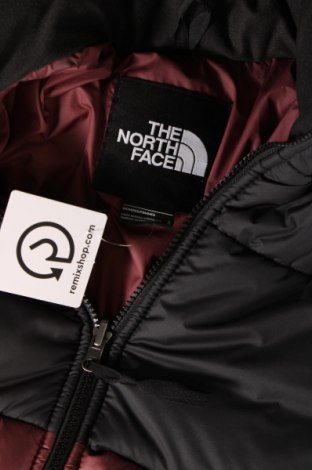 Γυναικείο μπουφάν The North Face, Μέγεθος L, Χρώμα Πολύχρωμο, Τιμή 196,39 €