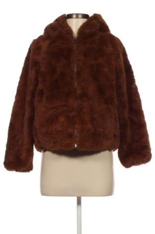 Damenjacke Zara Trafaluc, Größe S, Farbe Braun, Preis € 15,41