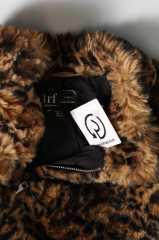 Γυναικείο μπουφάν Zara Trafaluc, Μέγεθος S, Χρώμα Πολύχρωμο, Τιμή 13,44 €