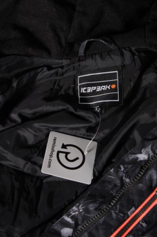Dámska bunda pre zimné športy  Icepeak, Veľkosť L, Farba Viacfarebná, Cena  24,24 €