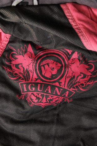 Дамско яке за зимни спортове Iguana, Размер M, Цвят Сив, Цена 48,60 лв.