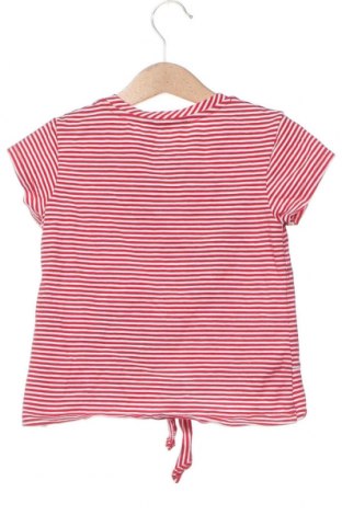Детска блуза Cichlid, Размер 3-4y/ 104-110 см, Цвят Многоцветен, Цена 21,00 лв.