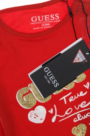 Dziecięca bluzka Guess, Rozmiar 3-6m/ 62-68 cm, Kolor Czerwony, Cena 110,83 zł