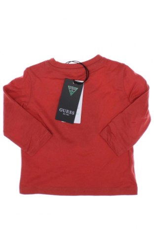 Kinder Shirt Guess, Größe 3-6m/ 62-68 cm, Farbe Rot, Preis € 21,43