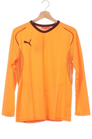 Παιδική μπλούζα PUMA, Μέγεθος 12-13y/ 158-164 εκ., Χρώμα Πορτοκαλί, Τιμή 20,46 €