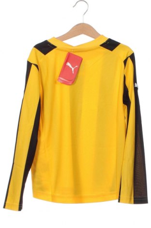 Kinder Shirt PUMA, Größe 7-8y/ 128-134 cm, Farbe Mehrfarbig, Preis € 13,64
