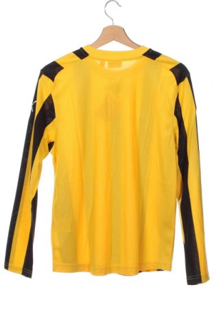 Детска блуза PUMA, Размер 13-14y/ 164-168 см, Цвят Многоцветен, Цена 10,78 лв.
