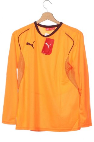 Детска блуза PUMA, Размер 13-14y/ 164-168 см, Цвят Оранжев, Цена 26,46 лв.