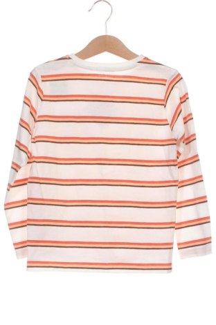Bluză pentru copii Tom Tailor, Mărime 5-6y/ 116-122 cm, Culoare Multicolor, Preț 72,47 Lei