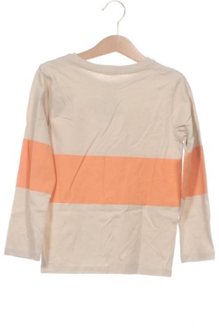 Παιδική μπλούζα Tom Tailor, Μέγεθος 3-4y/ 104-110 εκ., Χρώμα Πολύχρωμο, Τιμή 10,25 €