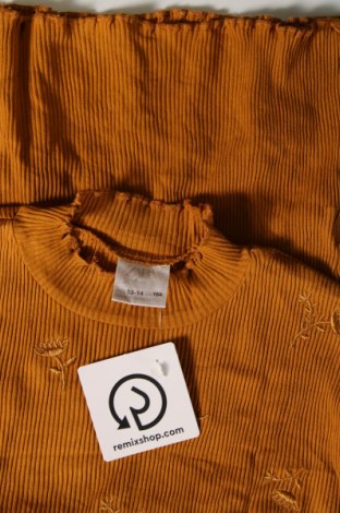 Bluză pentru copii Zara, Mărime 13-14y/ 164-168 cm, Culoare Maro, Preț 46,05 Lei