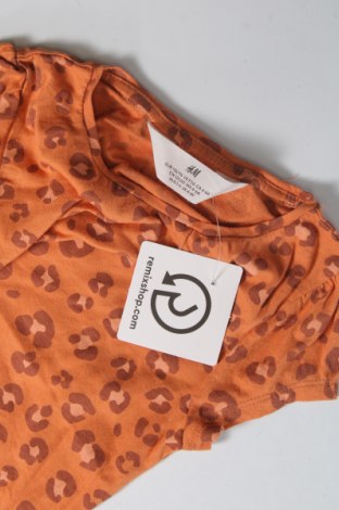 Tricou pentru copii H&M, Mărime 4-5y/ 110-116 cm, Culoare Multicolor, Preț 25,87 Lei