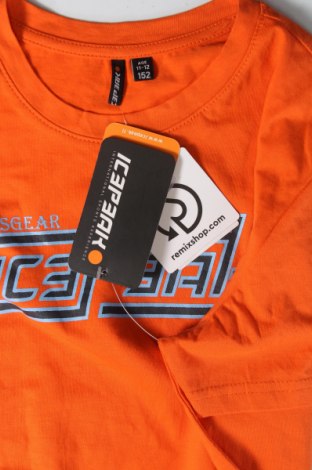 Dziecięcy T-shirt Icepeak, Rozmiar 11-12y/ 152-158 cm, Kolor Pomarańczowy, Cena 74,45 zł