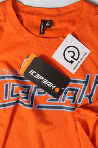 Dziecięcy T-shirt Icepeak, Rozmiar 15-18y/ 170-176 cm, Kolor Pomarańczowy, Cena 74,45 zł