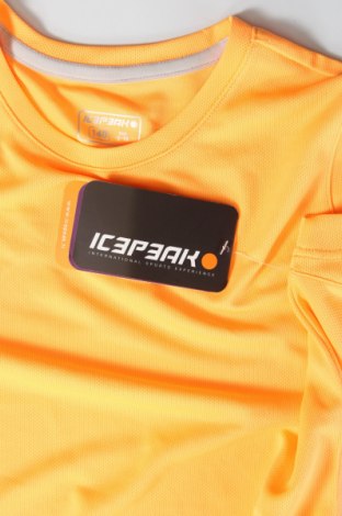 Kinder T-Shirt Icepeak, Größe 9-10y/ 140-146 cm, Farbe Orange, Preis € 12,38