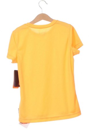 Dziecięcy T-shirt Icepeak, Rozmiar 9-10y/ 140-146 cm, Kolor Pomarańczowy, Cena 105,79 zł