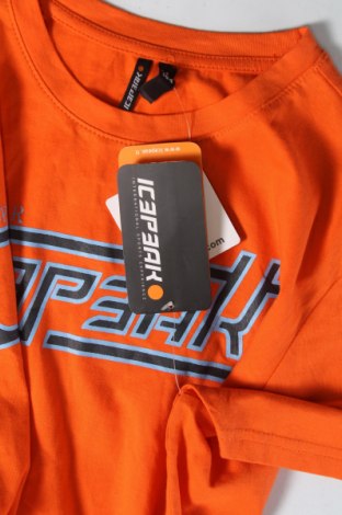 Детска тениска Icepeak, Размер 13-14y/ 164-168 см, Цвят Оранжев, Цена 27,93 лв.