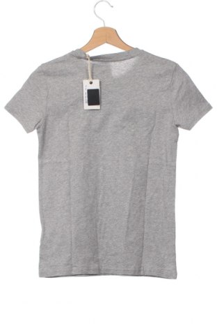 Kinder T-Shirt Pepe Jeans, Größe 11-12y/ 152-158 cm, Farbe Grau, Preis 26,29 €