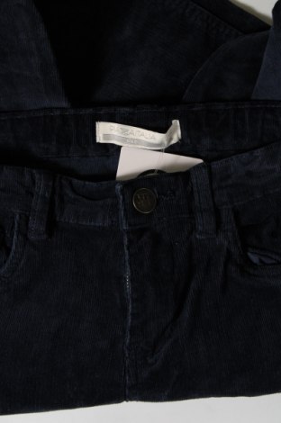 Pantaloni de catifea reiată, pentru copii Piazza Italia, Mărime 9-10y/ 140-146 cm, Culoare Albastru, Preț 60,87 Lei