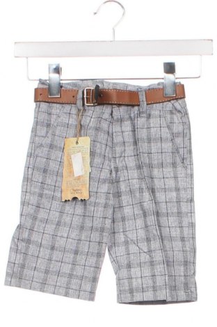 Παιδικό κοντό παντελόνι, Μέγεθος 4-5y/ 110-116 εκ., Χρώμα Γκρί, Τιμή 11,25 €