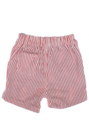 Детски къс панталон Frugi, Размер 9-12m/ 74-80 см, Цвят Многоцветен, Цена 51,00 лв.